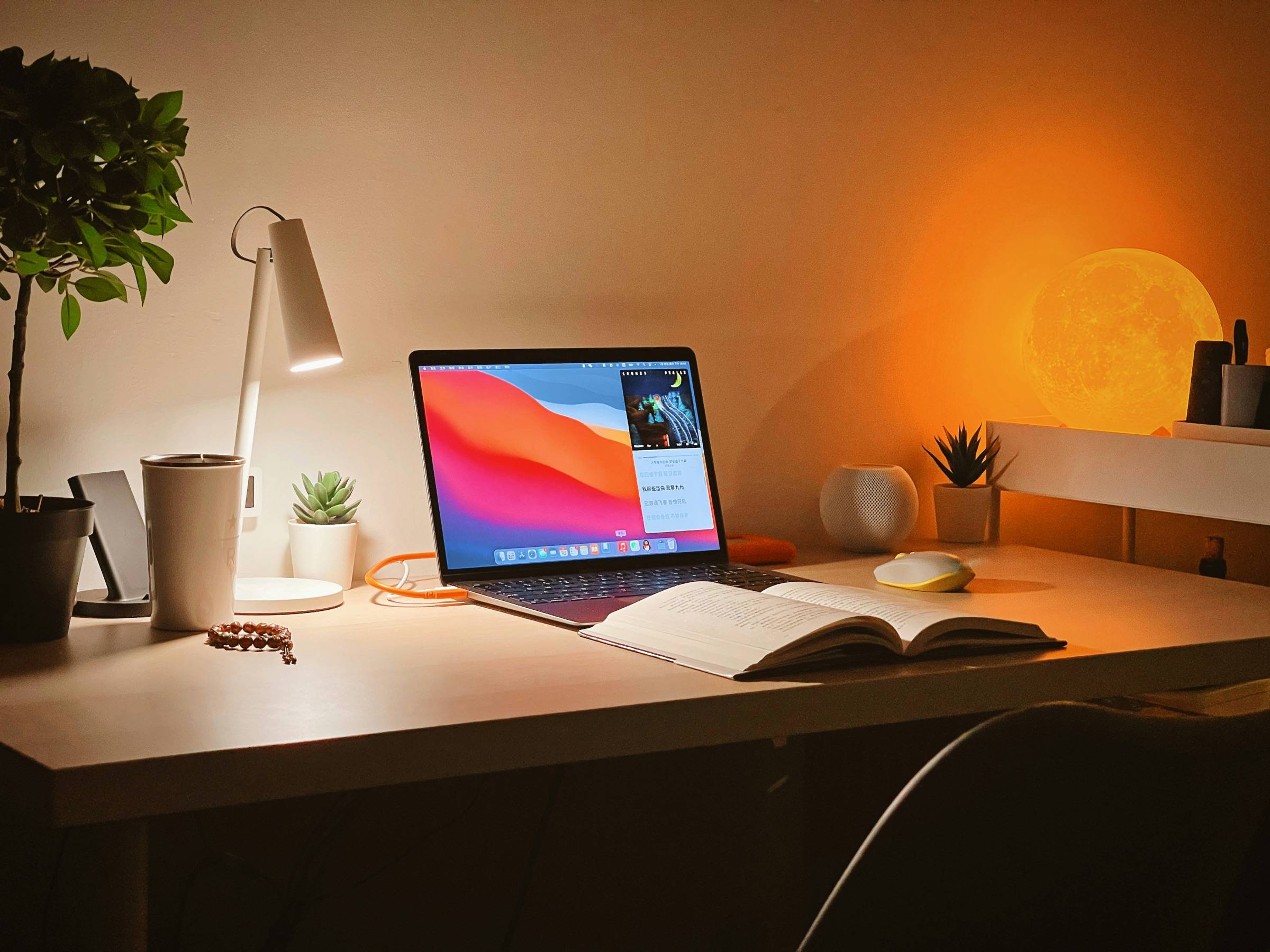 Quiet work desk with a laptop, lamp, plants, and an open notebook in warm evening light